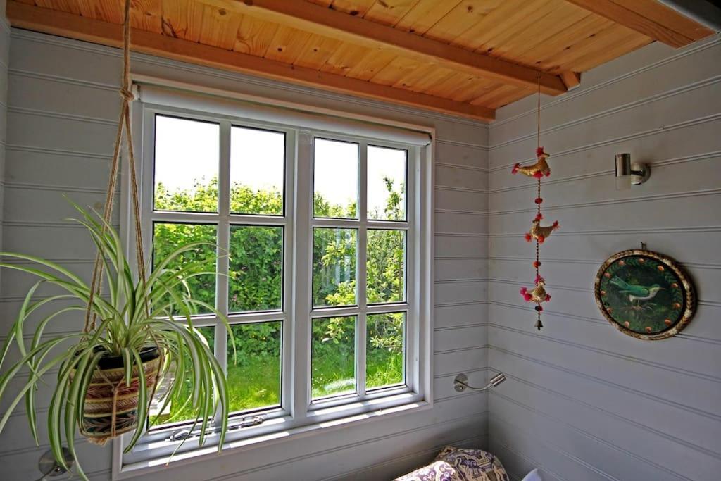 Villa Tiny House On Isolated Farm By The Cornish Coast Bude Esterno foto